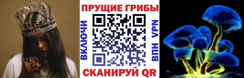 Галлюциногенные грибы ЛСД  наркотики  Ершов 